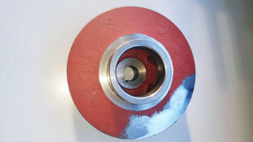 foto-equilibratura-2